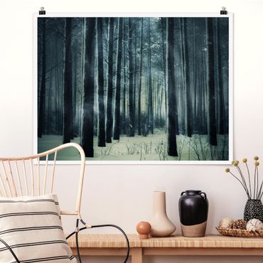Poster - Mystical Winter Forest