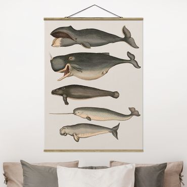 Fabric print with poster hangers - Five Vintage Whales