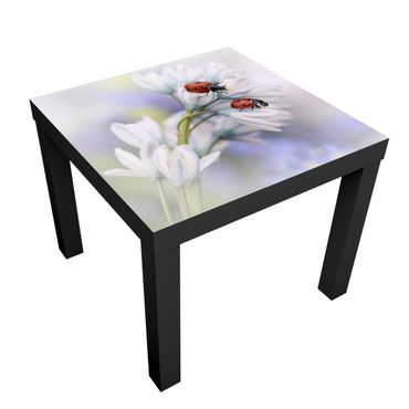 Side table design - Ladybird Couple