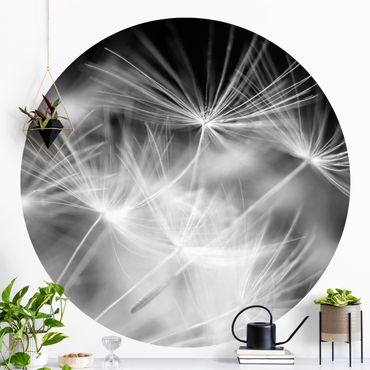 Self-adhesive round wallpaper - Moving Dandelions Close Up On Black Background
