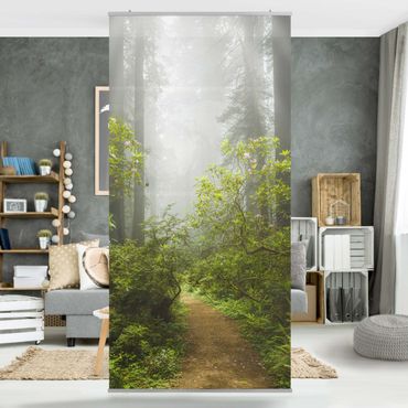 Room divider - Misty Forest Path