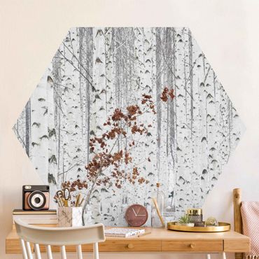 Self-adhesive hexagonal pattern wallpaper - Birch Trees In Autumn