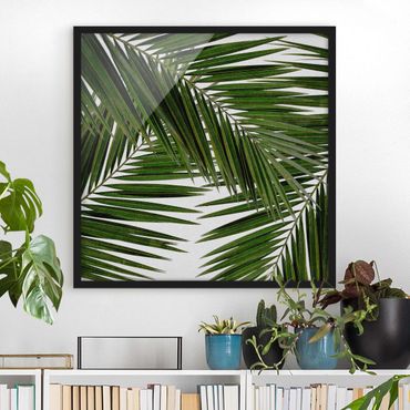 Framed poster - View Through Green Palm Leaves