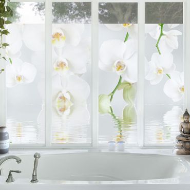 Window decoration - Spa Orchid - White Orchid