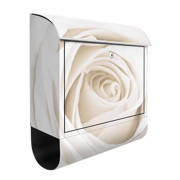 Letterbox - Pretty White Rose