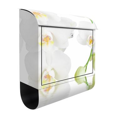 Letterbox - Spa Orchid - White Orchid