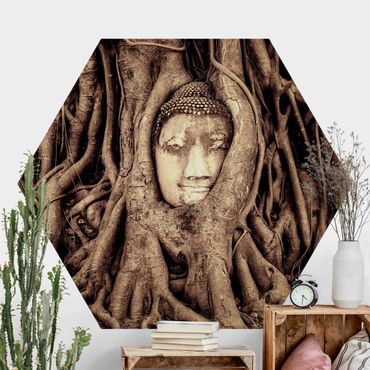 Self-adhesive hexagonal pattern wallpaper - Buddha In Ayutthaya Lined With Tree Roots In Brown