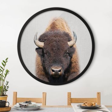 Circular framed print - Buffalo Bertram