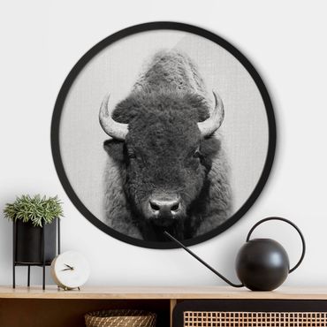 Circular framed print - Buffalo Bertram Black And White