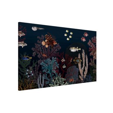 Magnetic memo board - Colourful coral reef at night