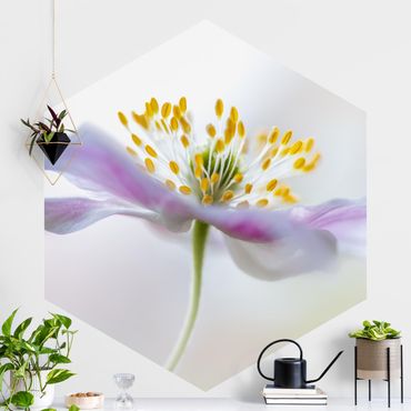 Self-adhesive hexagonal pattern wallpaper - Windflower In White