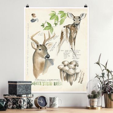 Poster flowers - Wilderness Journal - Deer
