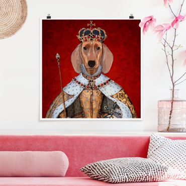 Poster - Animal Portrait - Dachshund Queen