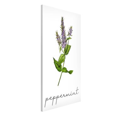 Magnetic memo board - Herbs Illustration Pepper Mint