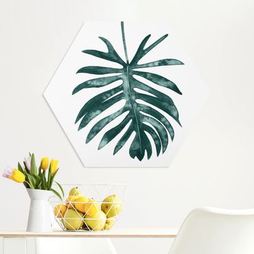 Forex hexagon - Emerald Philodendron Angustisectum