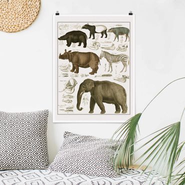 Poster - Vintage Board Elephant, Zebra And Rhino