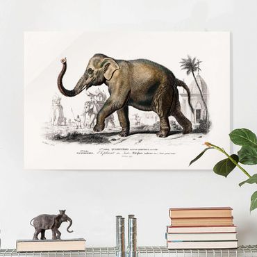 Glass print - Vintage Board Elephant