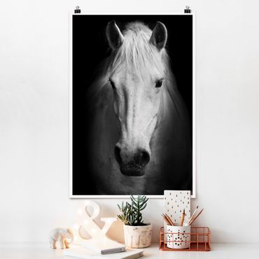 Poster - Dream Of A Horse