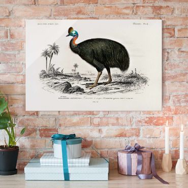 Glass print - Vintage Board Emu