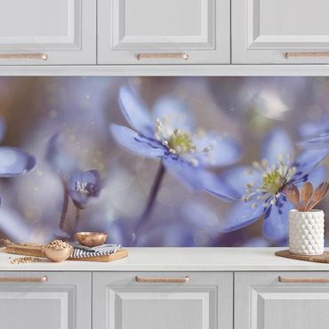 Kitchen wall cladding - Anemone In Blue