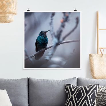 Poster - Hummingbird In Winter