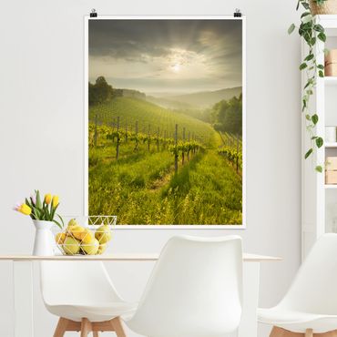 Poster nature & landscape - Sunrays Vineyard