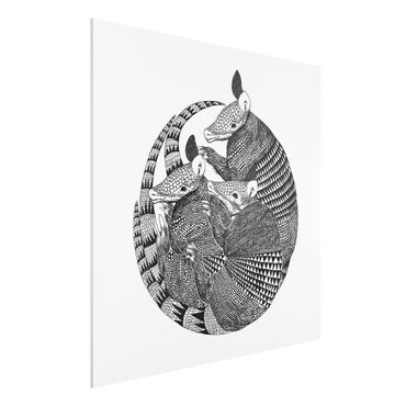 Print on forex - Illustration Armadillos Black And White Pattern