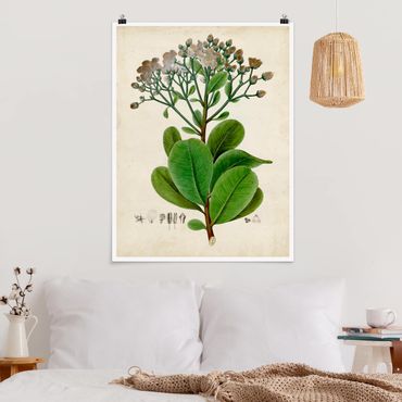Poster flowers - Deciduous Poster VIII