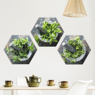 Alu-Dibond hexagon - Basil Mint Parsley In A Mortar