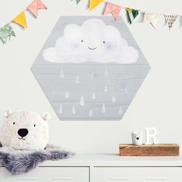 Forex hexagon - Cloud With Silver Raindrops
