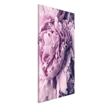 Magnetic memo board - Purple Peony Blossoms