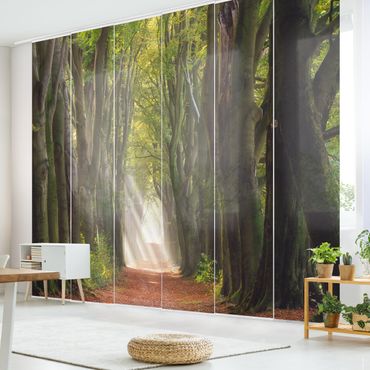 Sliding panel curtains set - Glorious Day In The Forest