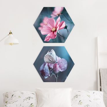 Alu-Dibond hexagon - Butterfly And Ladybug On Flowers