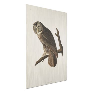 Print on aluminium - Vintage Board Great Owl