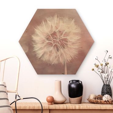 Hexagon Picture Wood - Dandelion Pink Bokeh