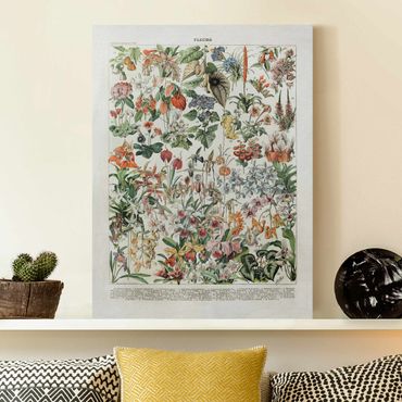 Print on canvas - Vintage Board Flowers III