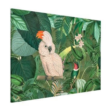 Magnetic memo board - Vintage Collage - Kakadu And Hummingbird