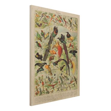 Print on wood - Vintage Board Birds Of Paradise