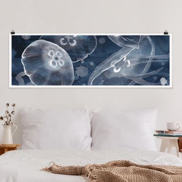 Panoramic poster animals - Moon Jellyfish II