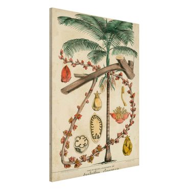 Magnetic memo board - Vintage Board Exotic Palms II