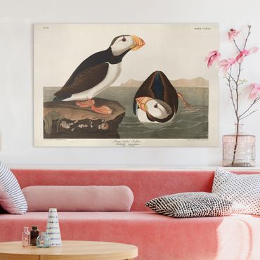 Print on canvas - Vintage Board Puffin II