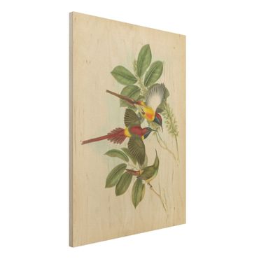 Print on wood - Vintage Illustration Tropical Birds III
