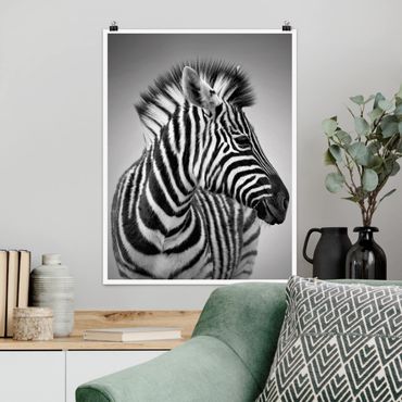 Poster animals - Zebra Baby Portrait II