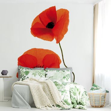 Wallpaper - Charming Poppies