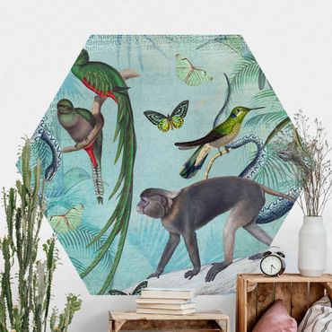 Self-adhesive hexagonal pattern wallpaper - Colonial Style Collage - Monkeys And Birds Of Paradise