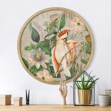 Circular framed print - Colonial Style Collage - Galah