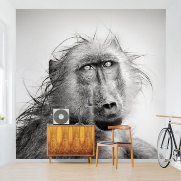 Wallpaper - Crying Baboon