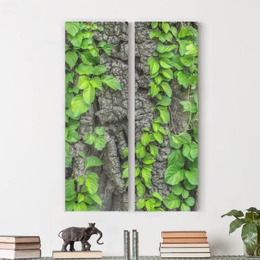 Print on canvas 2 parts - Ivy Tendrils Tree Bark