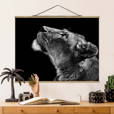 Fabric print with poster hangers - Portrait Of A Lioness