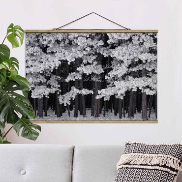 Fabric print with poster hangers - Forest With Hoarfrost In Austria